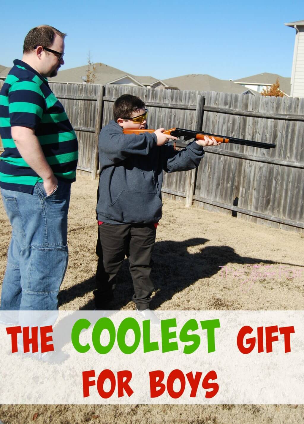 diy bb gun shooting gallery