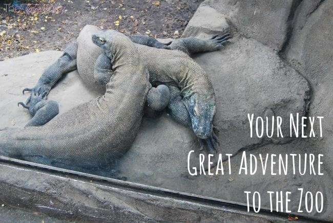 What's your summer adventure? Get a free kid's ticket to an AZA zoo or aquarium with @Frito-Lay #ad | The TipToe Fairy