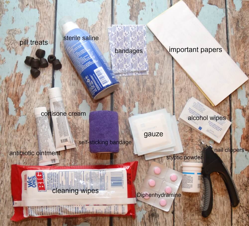 Make a #DIY First Aid Kit for your New Dog! #ad #NewBeneful #rescuedog #craft