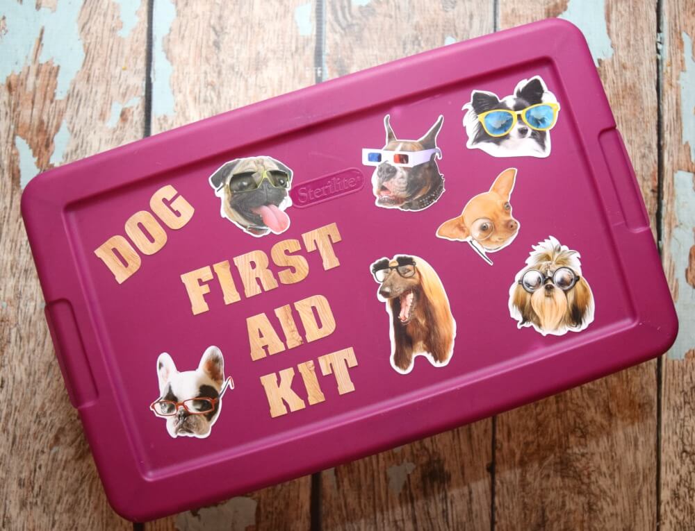 New Dog & DIY Dog First Aid Kit