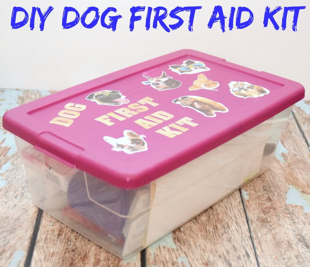 New Dog & DIY Dog First Aid Kit | The TipToe Fairy