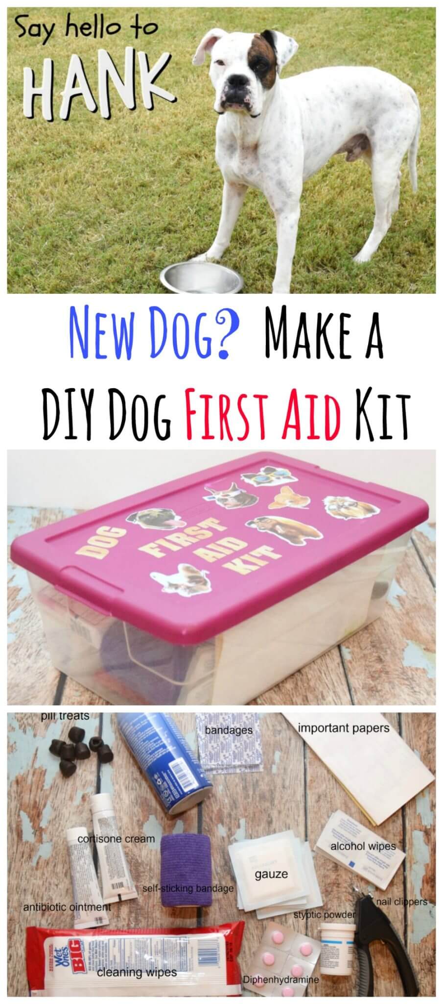 Diy dog first aid kit sale