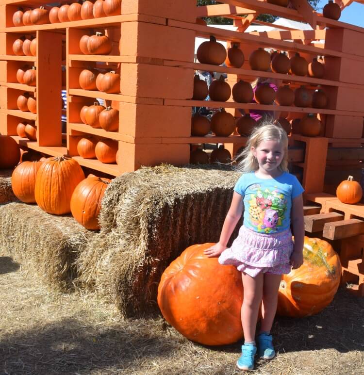 See our road trip to the pumpkin patch! #ExtendTheTrip! @gracobaby #sponsored
