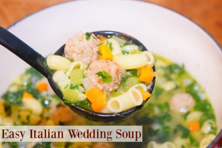 Easy Italian Wedding Soup  Renee's Kitchen Adventures