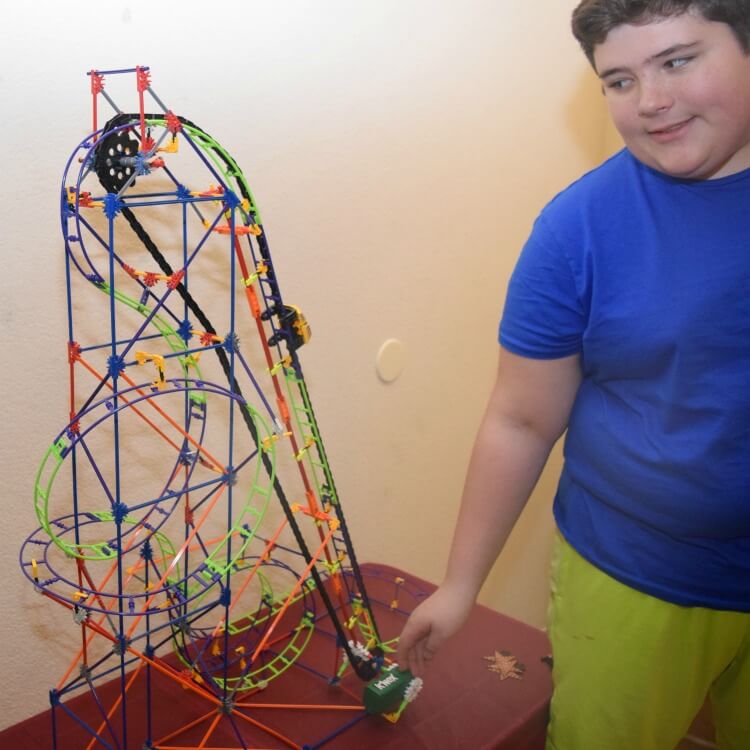 K NEX Wild Whiplash Roller Coaster The TipToe Fairy