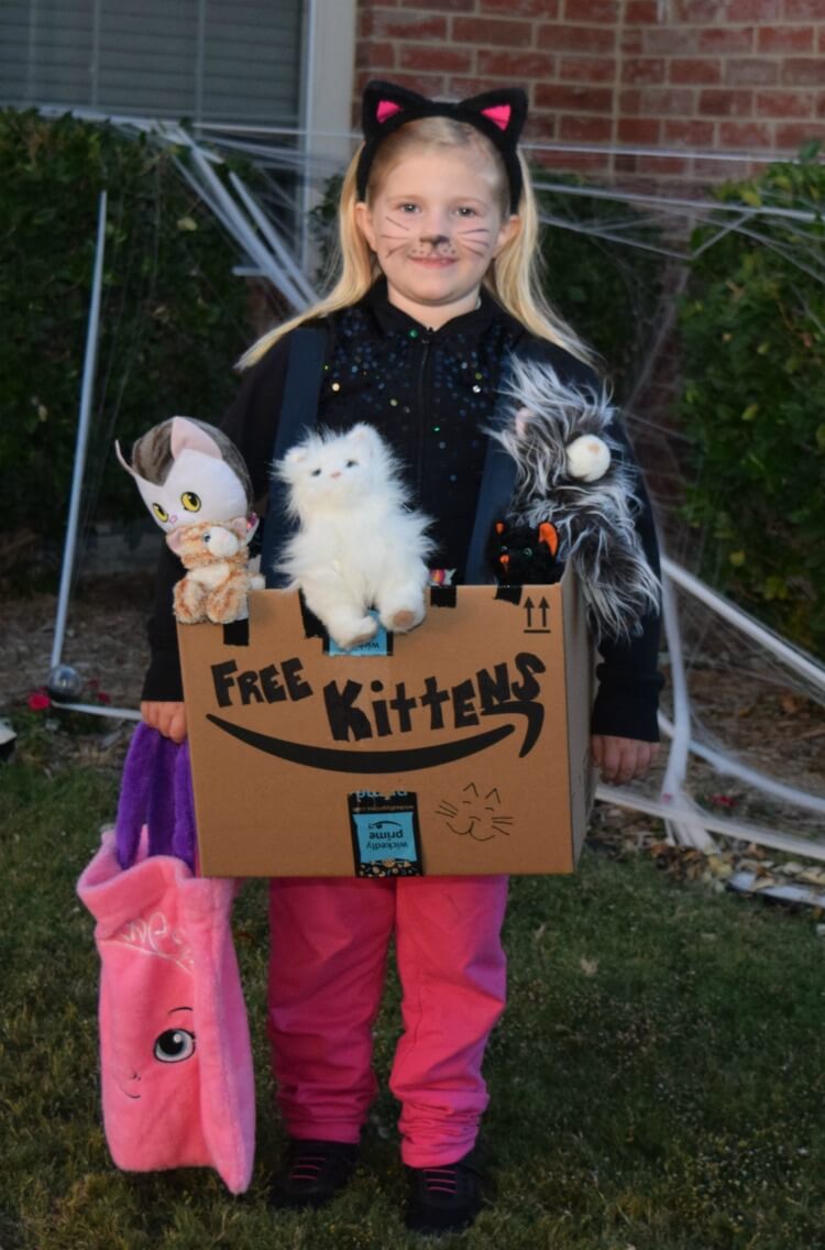 AD: Make a DIY Free Kittens boxtume with your little one as a kitten using @Amazon Smile boxes. #Boxtumes #AmazonPrime 