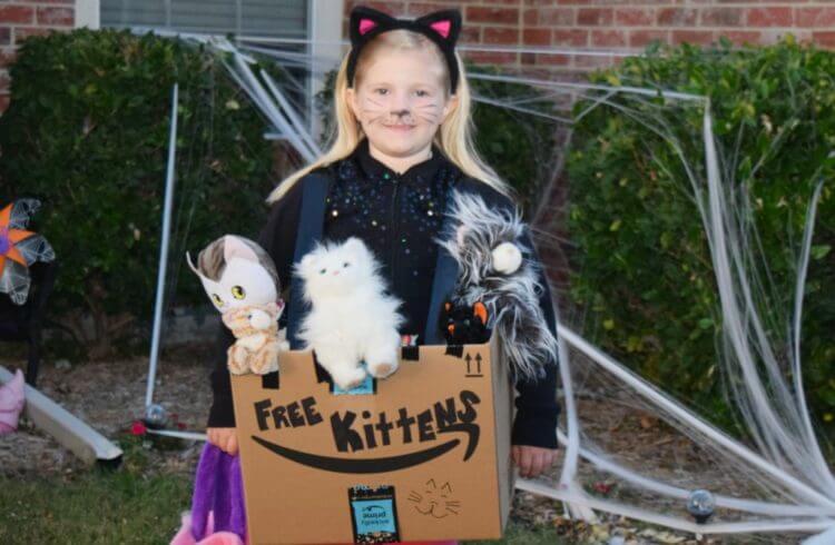AD: Make a DIY Free Kittens boxtume with your little one as a kitten using @Amazon Smile boxes. #Boxtumes #AmazonPrime 