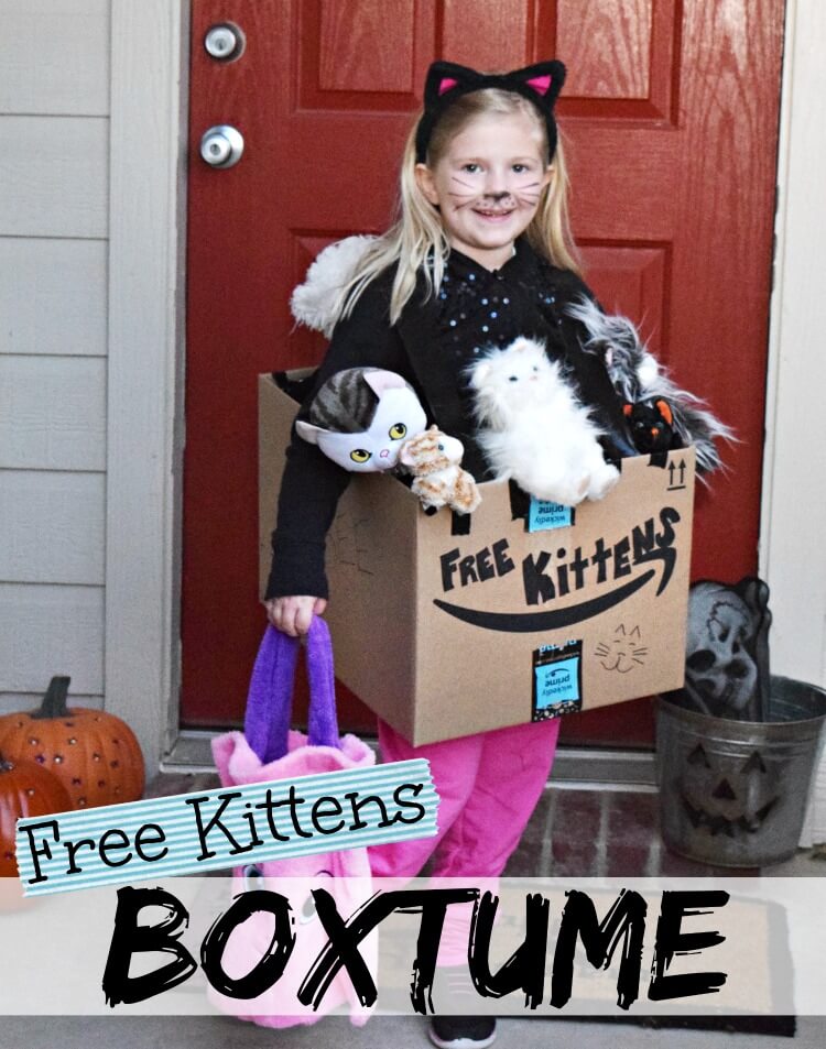 Costume on sale for kitten