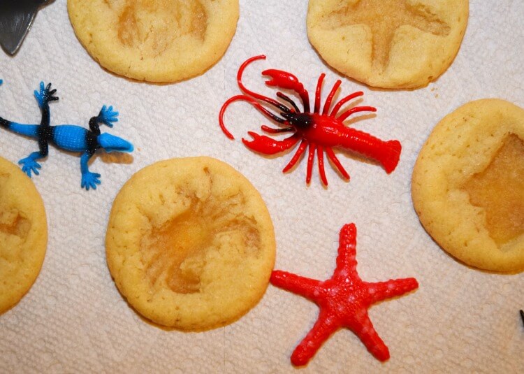 Removing the animals from the Cookie Fossils for Kids