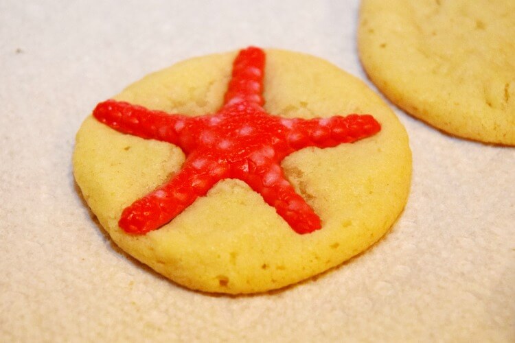 Make Cookie Fossils for Kids