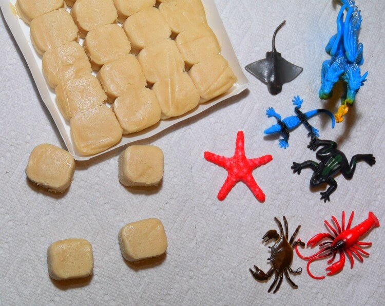 Cookie Fossils - how to make