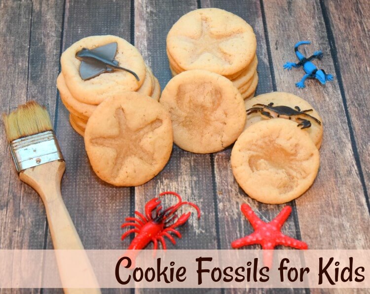 Cookie Fossils for kids to make