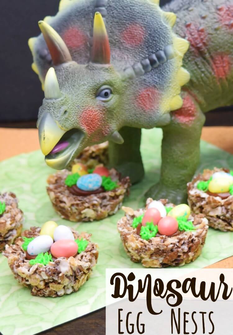 Dinosaur Egg Nests 