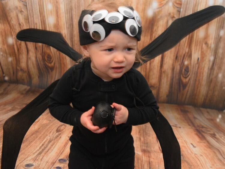 Infant spider 2024 halloween costume