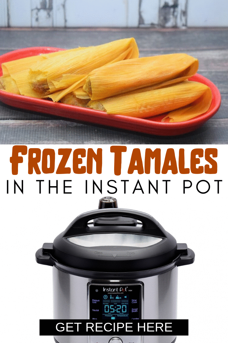 https://thetiptoefairy.com/wp-content/uploads/2019/01/frozen-tamales-gif.gif