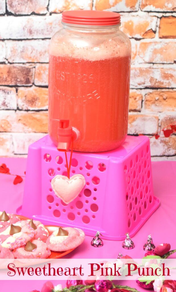 Pink Party Punch that Packs a Punch! - Home With Holly J