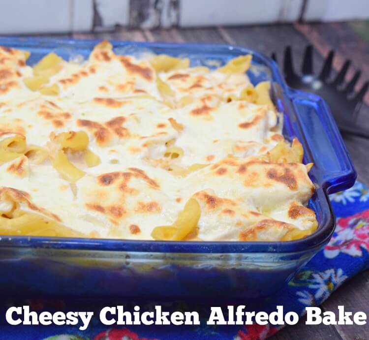 Make this easy Cheesy Chicken Alfredo Casserole for any easy weeknight dinner. 