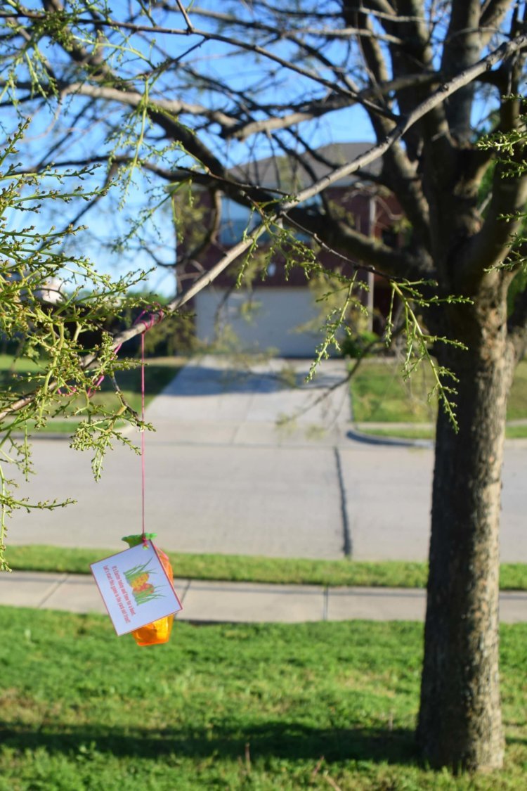 Hang an Easter egg with a clue from the tree!