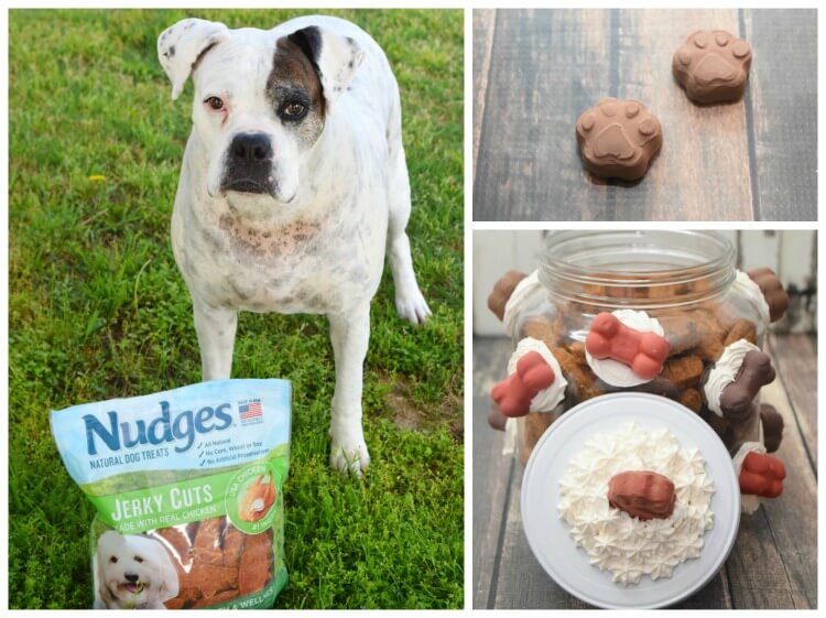 Are Nudges Dog Treats Safe