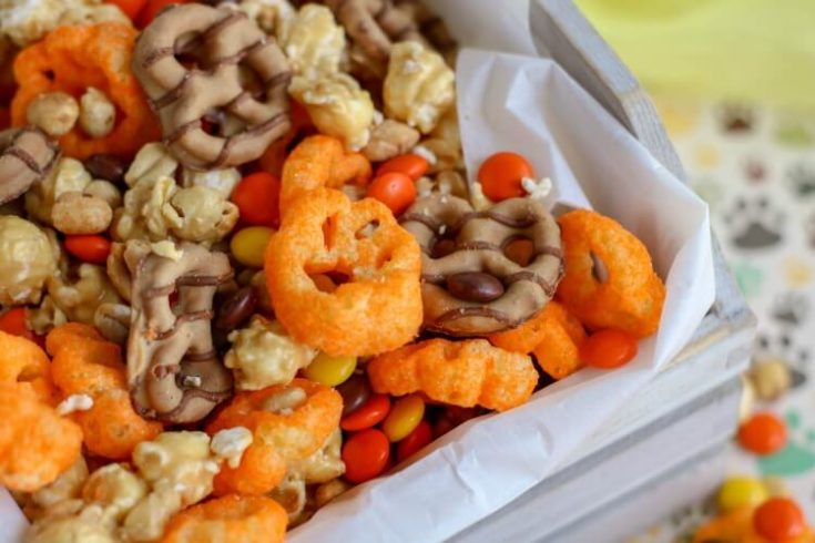 Lion King Snack Mix