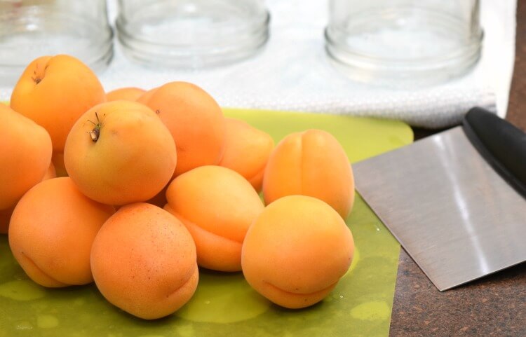 My last crop of apricots with my OXO Good Grips chopper.