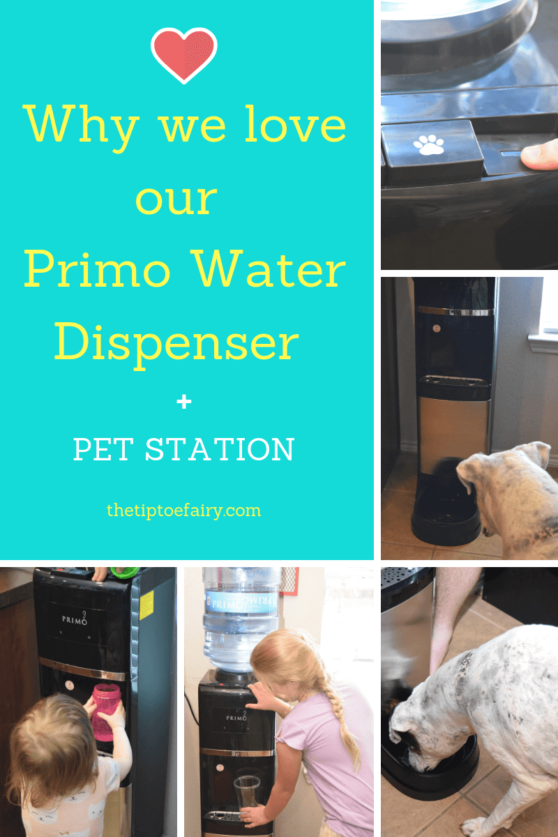 Title image for why we love our Primo Water Dispenser