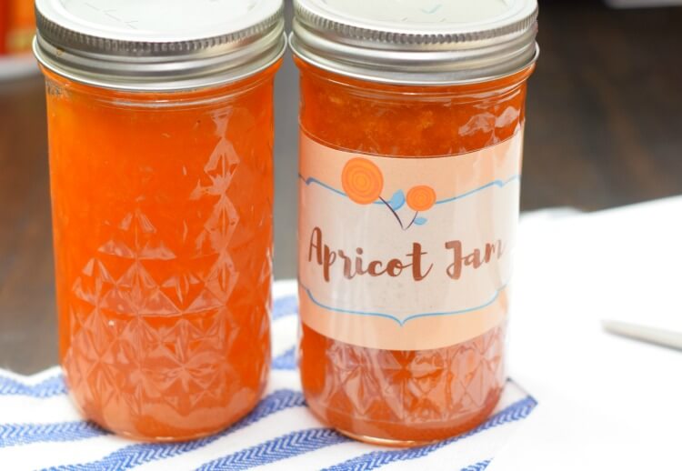 Apricot Jelly (Canning Recipe) - The Flour Handprint