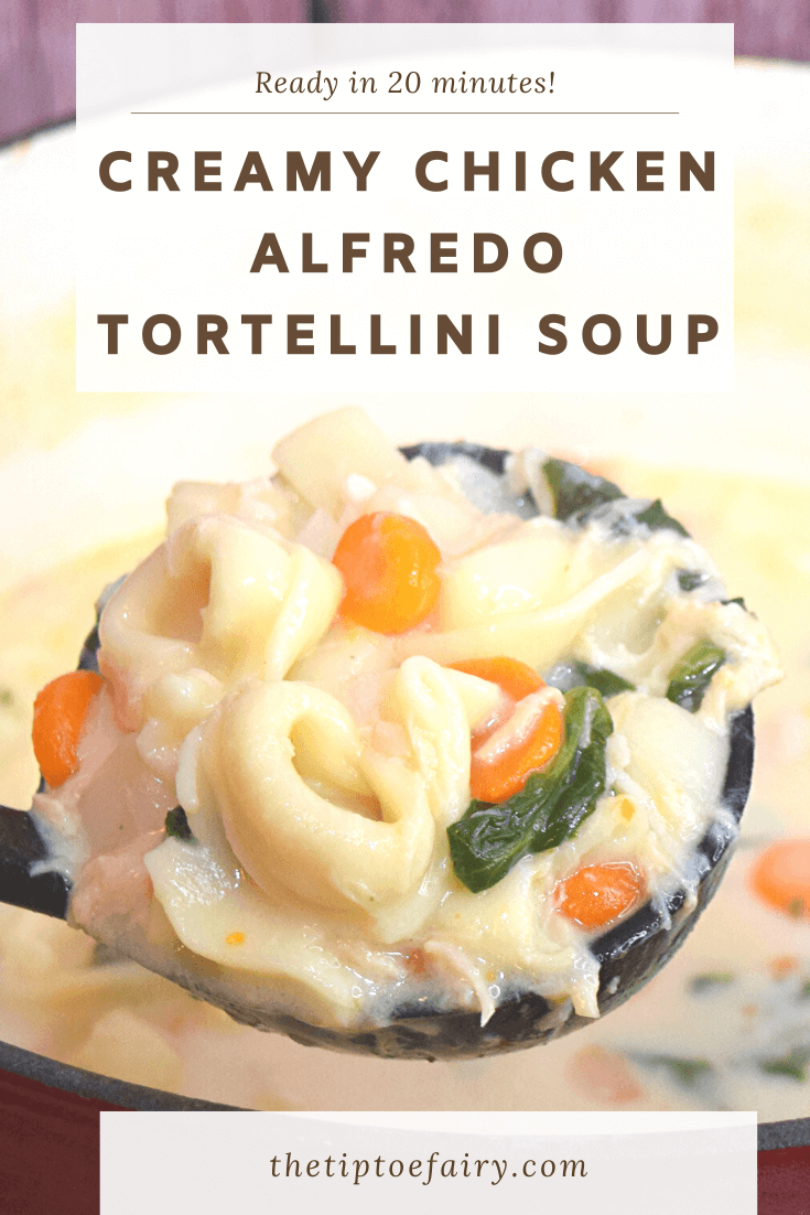 A close up spoonful of Creamy Chicken Alfredo Tortellini Soup