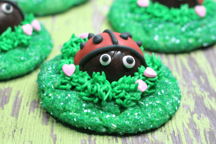 LadyBug Love Cookies