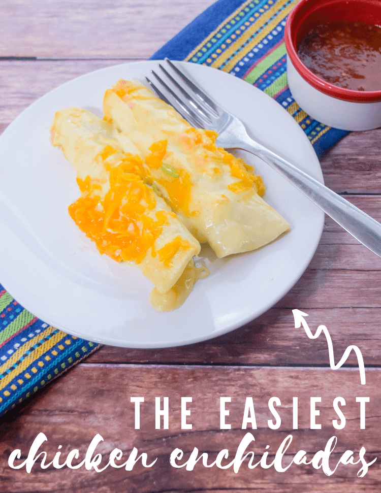 The Easiest Chicken Enchiladas covered with sauce and cheese and next to a cup of salsa. 