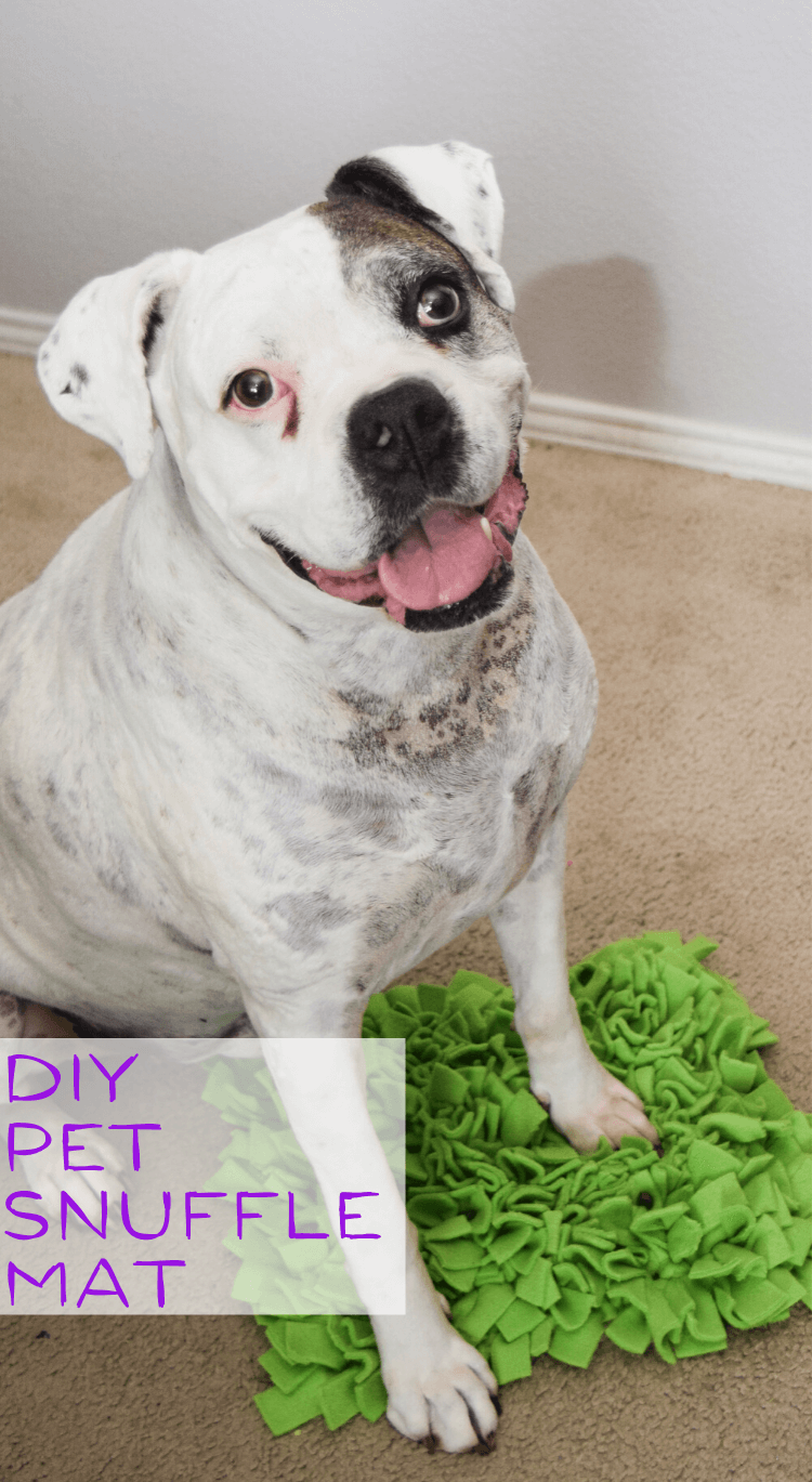 DIY Pet Snuffle Mat | The TipToe Fairy