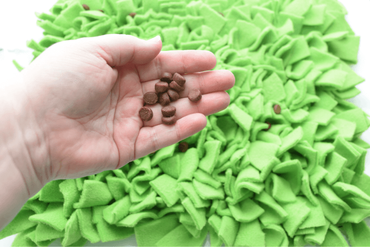 DIY Pet Snuffle Mat | The TipToe Fairy