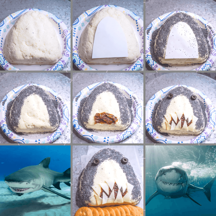 Step by step process images collage to make a Shark Cheese Ball