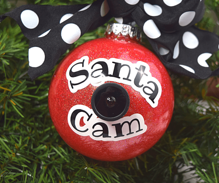 Santa Christmas Cams