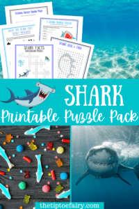 Free Kids Shark Printable Games | The TipToe Fairy