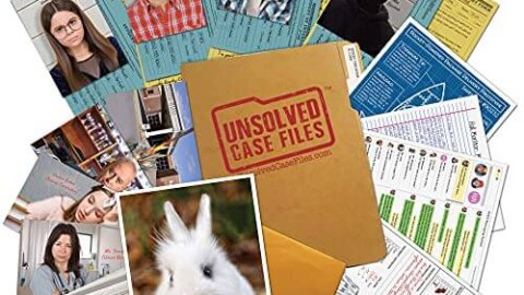Image for UNSOLVED CASE FILES | Honey The Bunny - A Family-Friendly Mystery Case to Solve