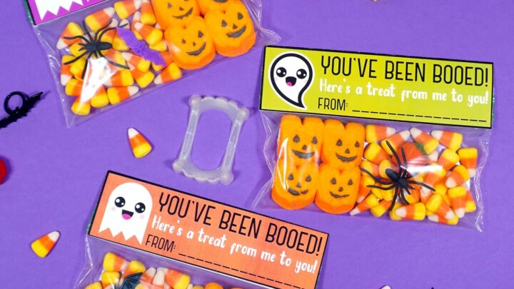 Image for Halloween Printable: Booed Treat Bags