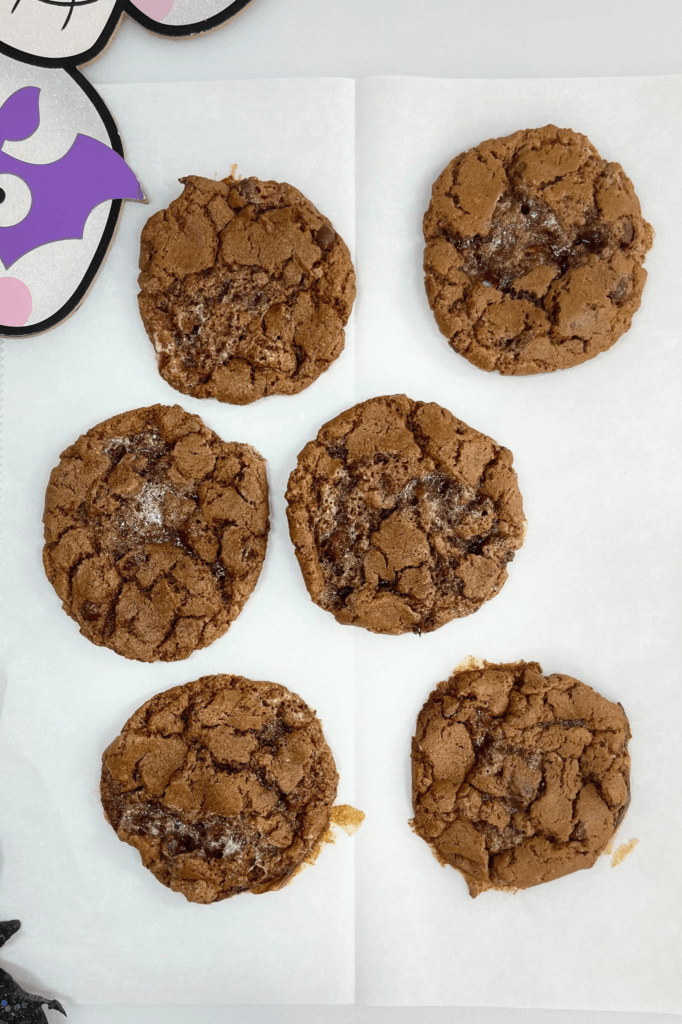 Chocolate marshmallow cookies freshly baked and ready to freeze