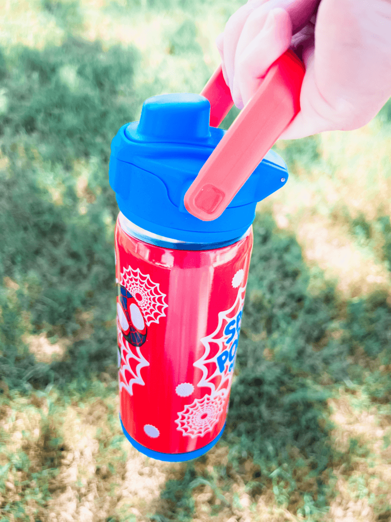 zak! Beacon Insulated Bottles for Kids