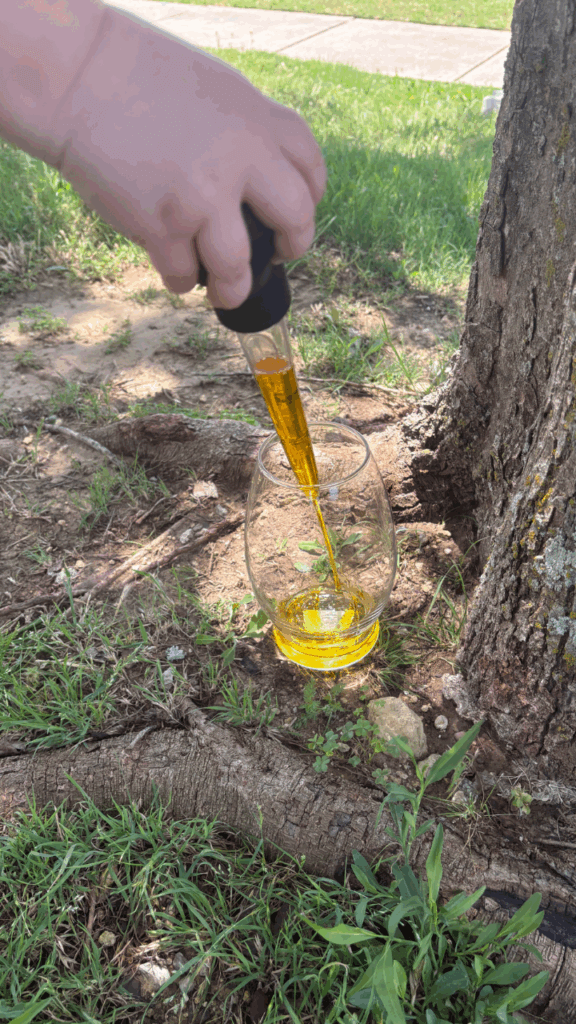 Using a turkey baster to add flower nectar to the honey bee hive