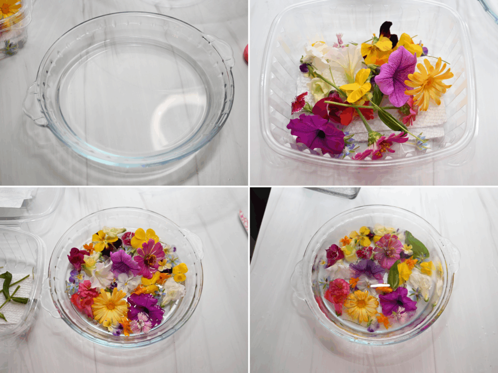 A collage of four images showing how to make the Edible Flower Ice Float for a punch bowl. 
