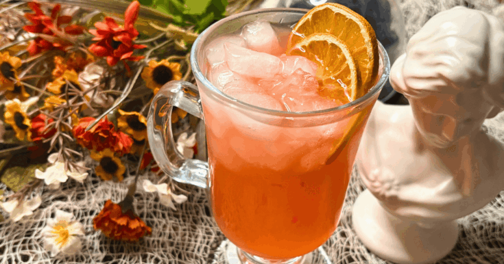 A blood orange gin fizz with two orange slices in it surrounded by wildflowers.